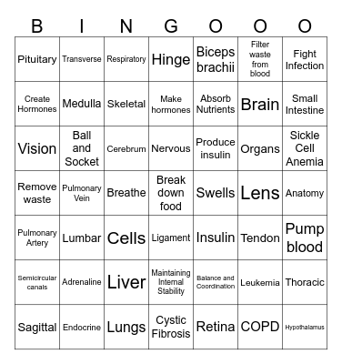 A&P FINAL Bingo Card