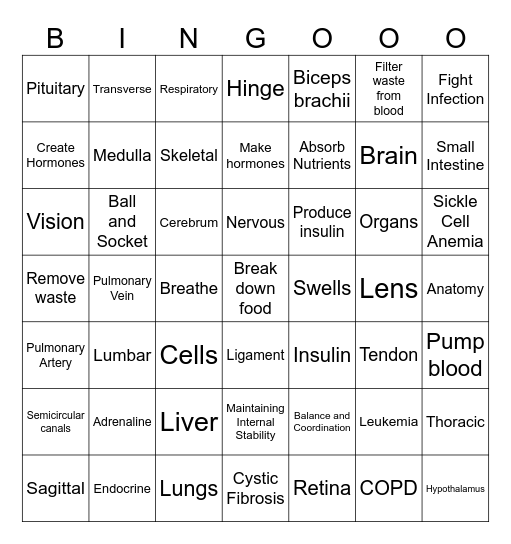 A&P FINAL Bingo Card