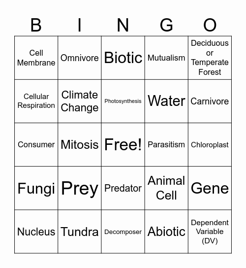 Grubbs Science Bingo Card