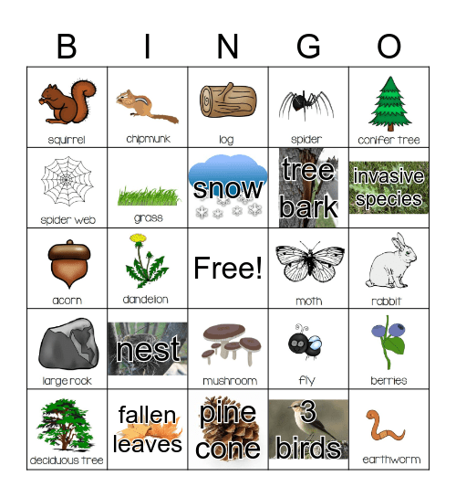 Nature Bingo Card