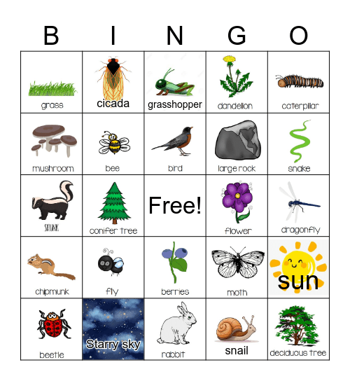 Nature Bingo Card