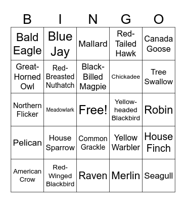 Saskatchewan Birds Bingo Card