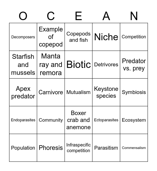 Interactions between ecosystems Bingo Card