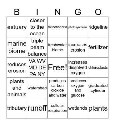 Quarter 1 Review BINGO Card