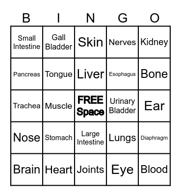 BODY BINGO Card