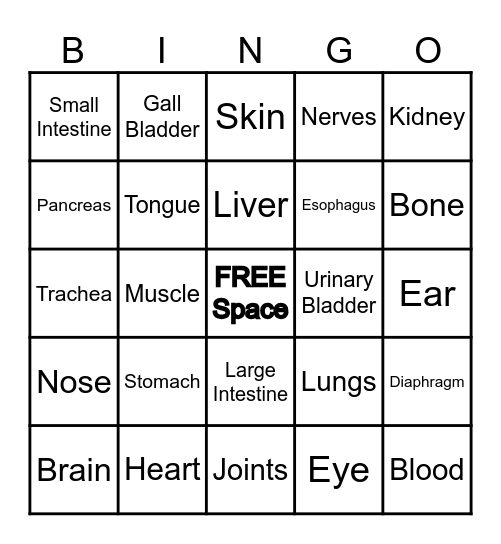 BODY BINGO Card