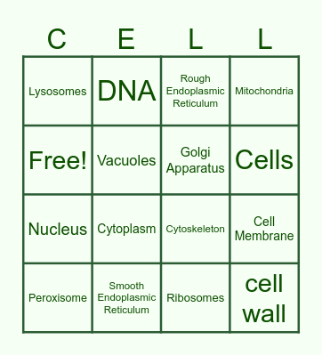 Cell Structure (plus cell wall from a plant cell) Bingo Card