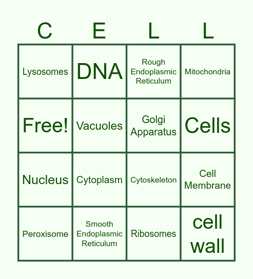Cell Structure (plus cell wall from a plant cell) Bingo Card