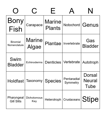 Classification Bing Bingo Card