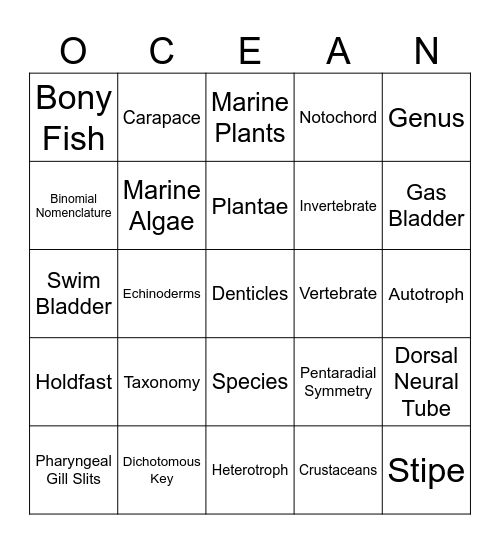 Classification Bing Bingo Card