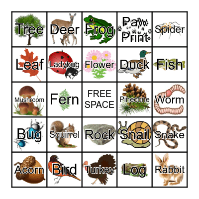 NATURE BINGO Card