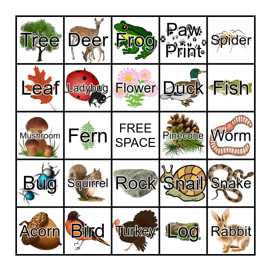 NATURE BINGO Card