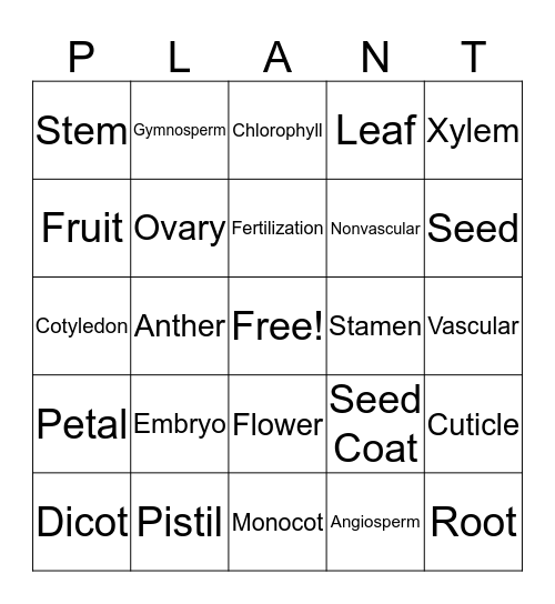 Plant Bingo #2 Bingo Card