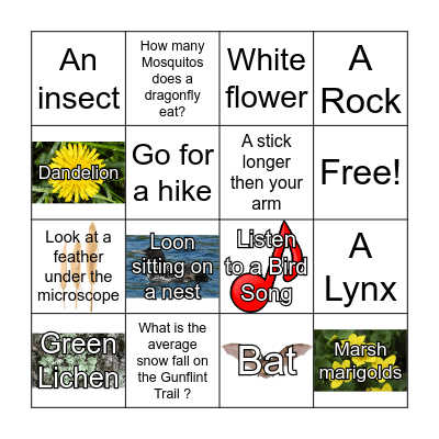 Spring Bingo Card
