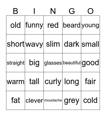 Adjectives Bingo Card