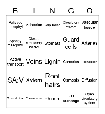 Module 2 Biology Bingo Card