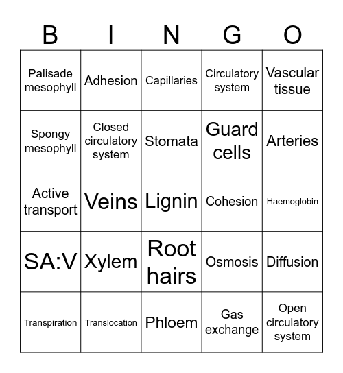 Module 2 Biology Bingo Card