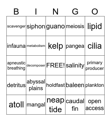 Marine life Bingo Card