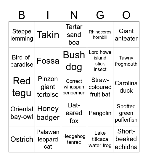Carolina-eend Bingo Card