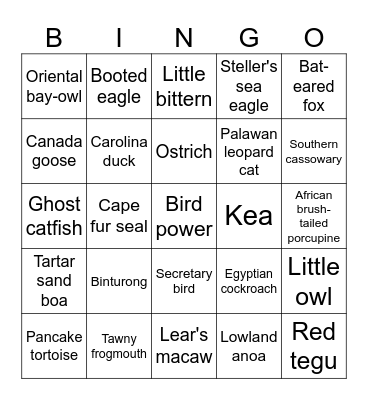 Carolina-eend Bingo Card