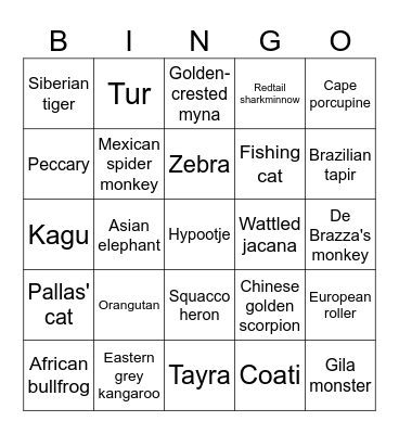 Dex de Dialeeuw Bingo Card