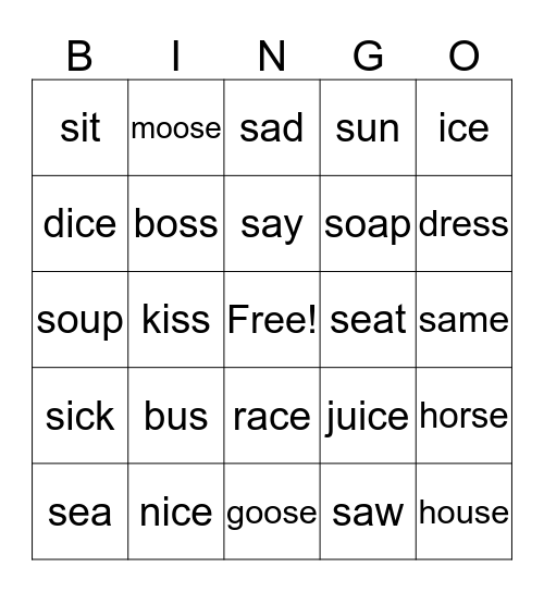 /s/ words Bingo Card