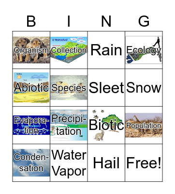 Level 6  Bing Bingo Card