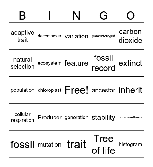 Matter & Energy, Natural Selection, & Evolution Bingo Card