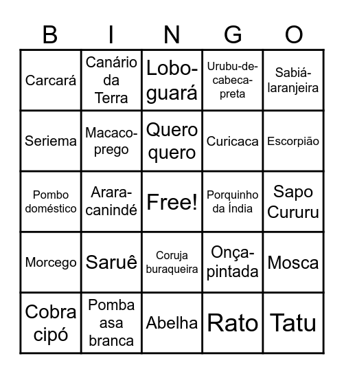 ANIMAIS SINANTRÓPICOS Bingo Card