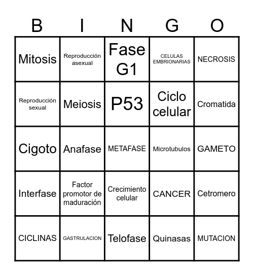 CICLO CELULAR Bingo Card