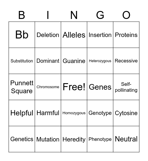 Unit 6 BINGO Card
