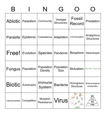 Life Science Review Bingo Card