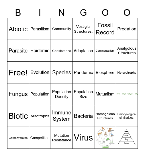 Life Science Review Bingo Card