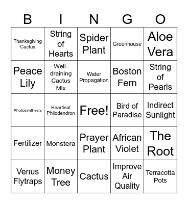 House Plant Bingo Card