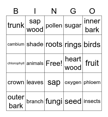 Anatomy of a Tree Bingo Card