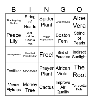 House Plant BINGO Card
