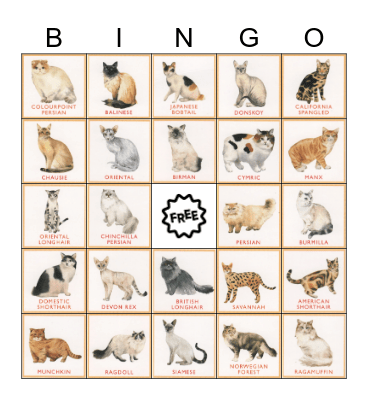 Cat Breed Bingo Card