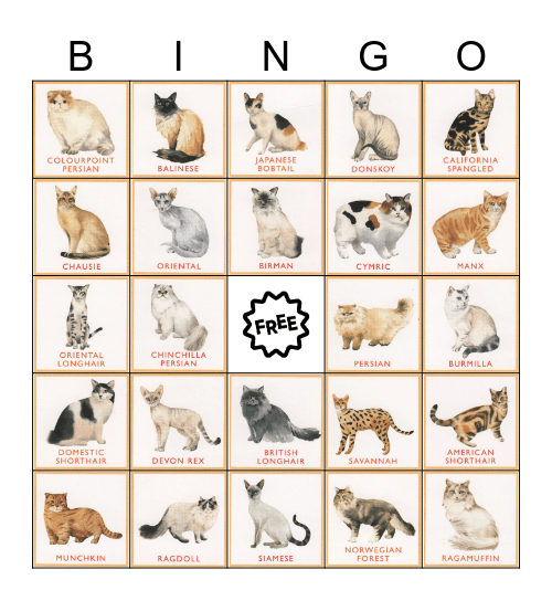 Cat Breed Bingo Card