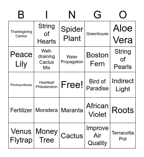 House Plant Bingo Card