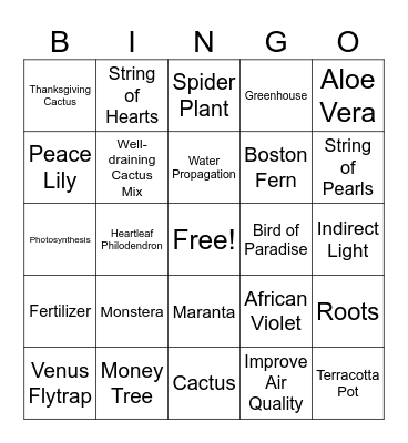 Houseplant Bingo Card