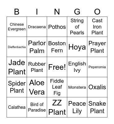 Houseplant Bingo round 3 Bingo Card