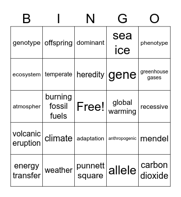 Science Final Review Bingo Card
