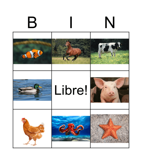 Les Animaux Bingo Card