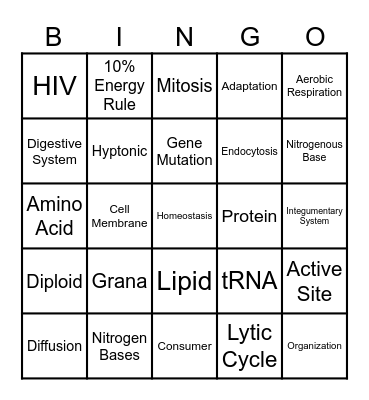 Biology STAAR Review Bingo Card