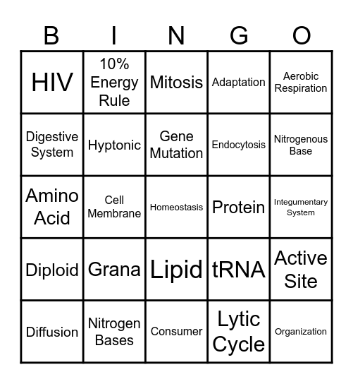 Biology STAAR Review Bingo Card