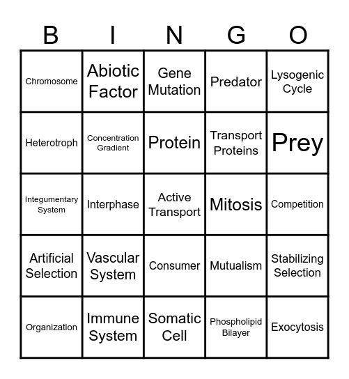 Biology STAAR Review Bingo Card