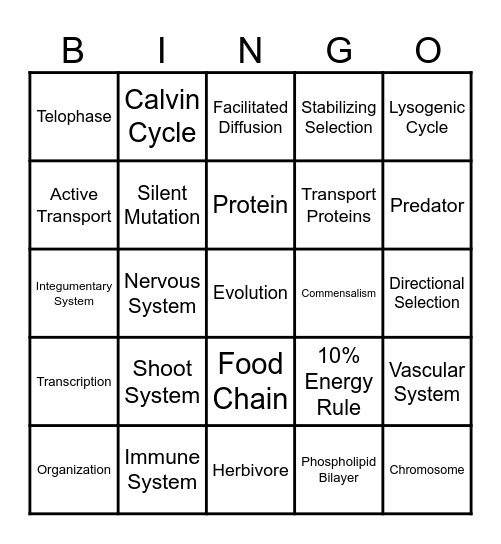 Biology STAAR Review Bingo Card