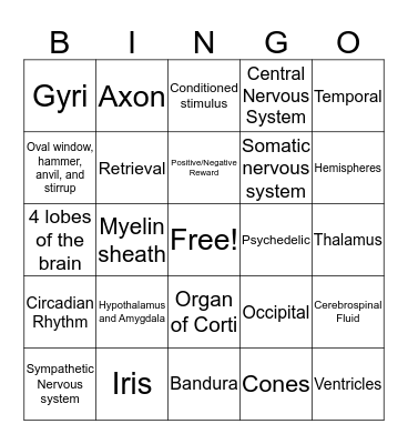 Exam 2 Bingo Card