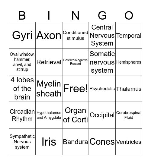 Exam 2 Bingo Card