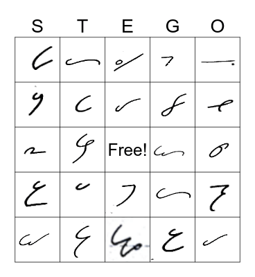 STEGO Bingo Card